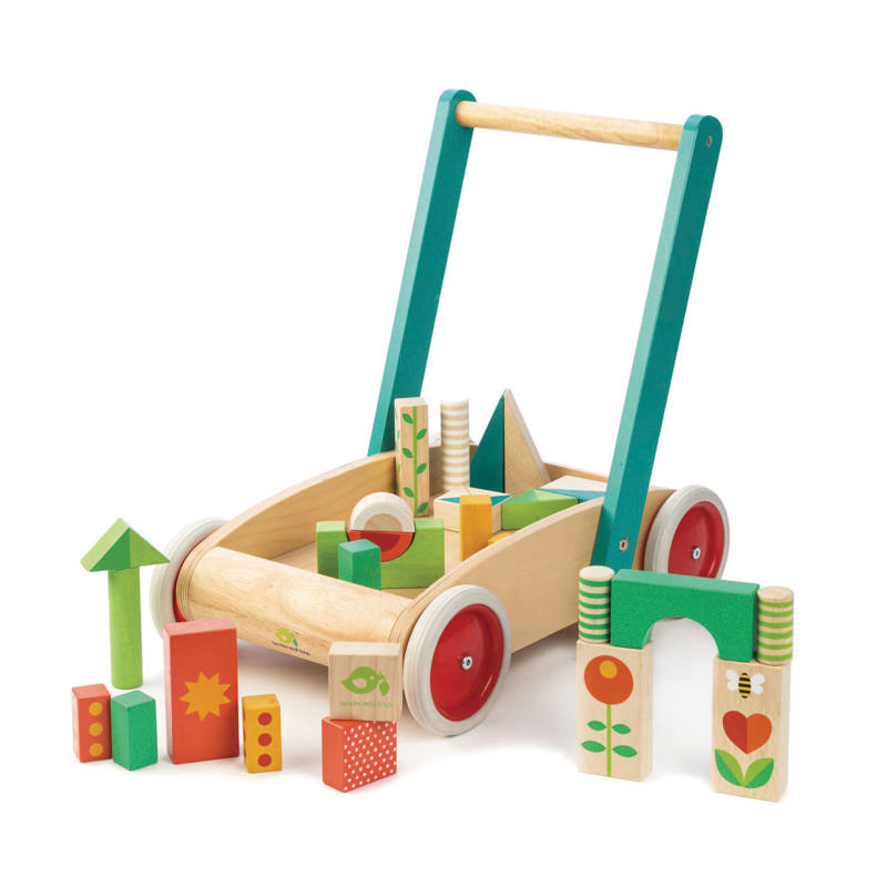 Carrellino Primi Passi Baby Block TenderLeaf TL8464