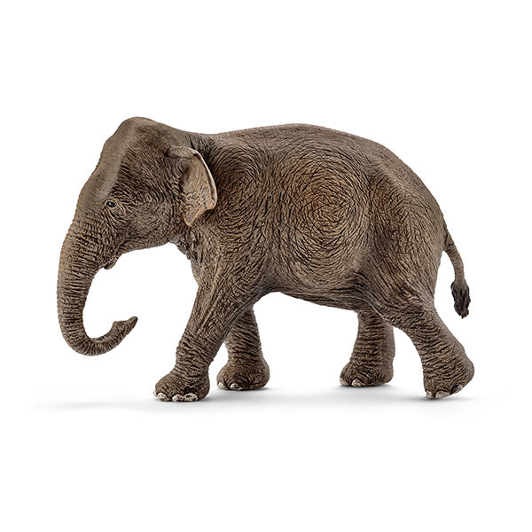 Schleich 14753 - Femmina di Elefante Asiatico