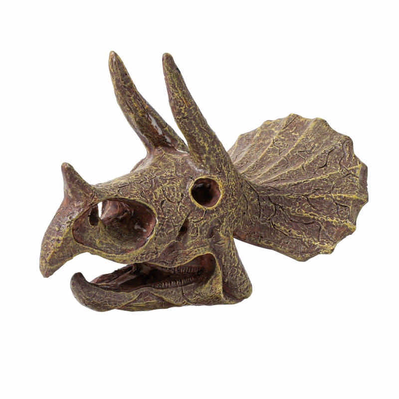 Teschio Triceratopo Da Scavare Con Supporto Buki