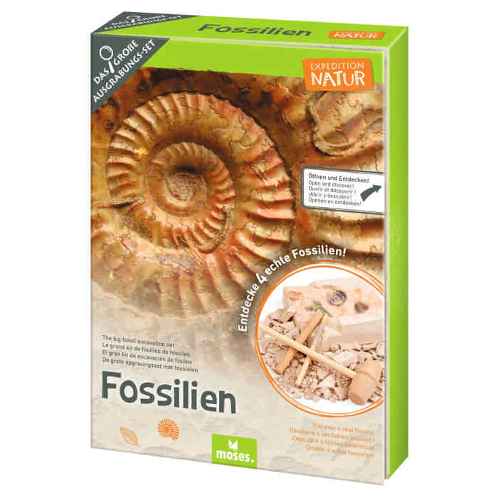 Kit scavo fossili scatola chiusa