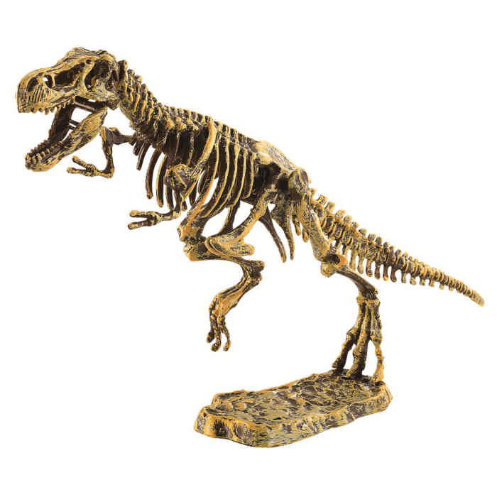 Set scavo T-rex scheletro