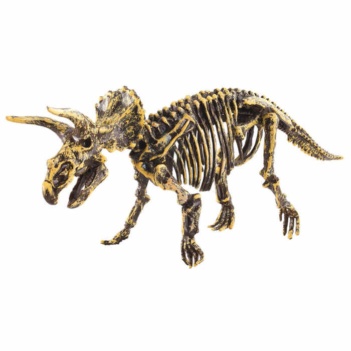 Set scavo Triceratopo scheletro