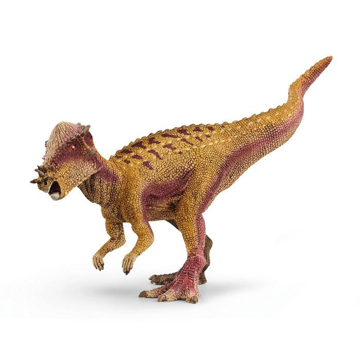 Dinosauro Pachycephalosaurus Schleich 15024
