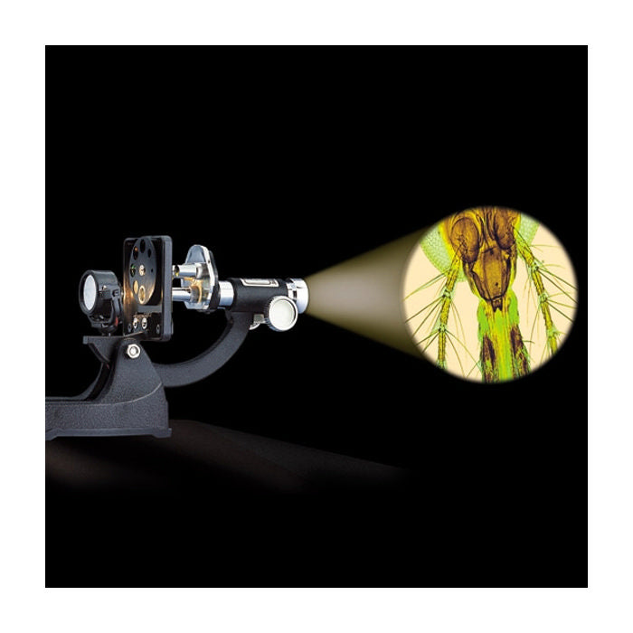 Microscopio con Luce e Proiettore Edu Toys MS002