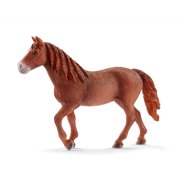 Giumenta Morgan Horse Schleich 13870
